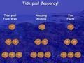 Tide pool Jeopardy! Tide pool Food Web Amazing Animals Fun Facts.