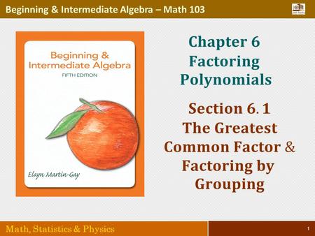 1 Beginning & Intermediate Algebra – Math 103 Math, Statistics & Physics.