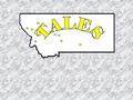 Concepts behind TALES On Site Coordinator Provide necessary equipment Provide training & sub time Emphasis on collaboration & integration Personal & team.