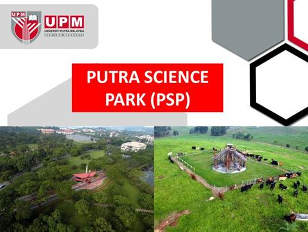 PUTRA SCIENCE PARK (PSP). 1. IPR Evaluation & Protection INTELLECTUAL PROPERTY PROTECTION Patents Copyrights Trademarks Industrial Designs New Plant.