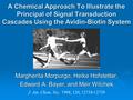 A Chemical Approach To Illustrate the Principal of Signal Transduction Cascades Using the Avidin-Biotin System Margherita Morpurgo, Heike Hofstetter, Edward.