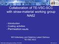 Collaboration of TE-VSC-SCC with straw-material working group NA62 Wil Vollenberg and Delphine Letant Delrieux TE-VSC-SCC NA62 straw working group meeting;