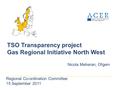 TSO Transparency project Gas Regional Initiative North West Nicola Meheran, Ofgem Regional Co-ordination Committee 15 September 2011.