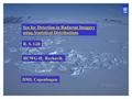 Sea Ice Detection in Radarsat Imagery using Statistical Distributions R. S. Gill IICWG-II, Reykavik. DMI, Copenhagen.