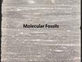 Molecular Fossils. What are molecular fossils? Products of altered organic matter Mainly formed by reduction, but oxidation possible Preservation over.