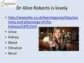 Dr Alice Roberts is lovely  tomy-and-physiology-of-the- kidneys/5370.html