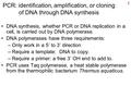 1 PCR: identification, amplification, or cloning of DNA through DNA synthesis DNA synthesis, whether PCR or DNA replication in a cell, is carried out by.