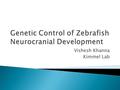 Vishesh Khanna Kimmel Lab. Neurocranium Images from Kimmel et al. 2001.