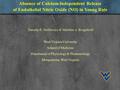 Absence of Calcium-Independent Release of Endothelial Nitric Oxide (NO) in Young Rats Timothy R. Nurkiewicz & Matthew A. Boegehold West Virginia University.