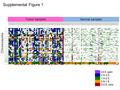 Chromosome Tumor samplesNormal samples Supplemental Figure 1.