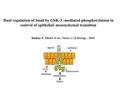 Dual regulation of Snail by GSK-3 -mediated phosphorylation in control of epithelial–mesenchymal transition Binhua P. Zhou1 et al., Nature Cell Biology,