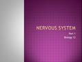 Part 1 Biology 12.  Neurons  Gathers & transmits electro-chemical signals DID YOU KNOW????  Neurons cannot be repaired  Some last a life time  Approximately.