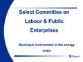 Municipal involvement in the energy crisis Select Committee on Labour & Public Enterprises.