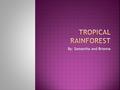 By: Samantha and Brianna.  The tropical rainforest has layers in the canopy.  the trees are 100-120 feet  Vegetation can become dense at ground level.