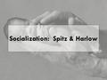 Socialization: Spitz & Harlow. Key Concepts Socialization Nature vs. nurture Resocialization Total institutions Agents of socialization: family, peers,