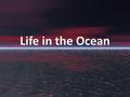 Color of the water is determine by the way sunlight is – Absorbed – Reflected.