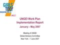 UNGEI Work Plan Implementation Report January – May 2007 Meeting of UNGEI Global Advisory Committee New York – 1 June 2007.