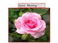 Good Morning. Teacher’s Introduction Name of the teacher: Mst,Monjuara khatun Assistant teacher Washin Government Primary school.