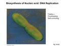 Fig. 10-CO, Biosynthesis of Nucleic acid: DNA Replication Fidelity— Proofreading Self-correcting.