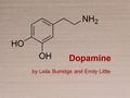 Dopamine by Leila Burridge and Emily Little. Dopamine and It’s Uses ●Neurotransmitter ●Helps transmit signals in brain and other vital areas ●Found in.