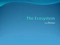 2.4 Biomes. Assessment Statements 2.4.1 Define the term biome 2.4.2 Explain the distribution, structure, and relative productivity of tropical rainforests,