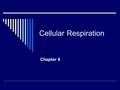 Cellular Respiration Chapter 6. Energy Flow and Chemical Cycling in the Biosphere  Fuel molecules in food represent solar energy traced back to the sun.