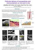 Follicular delivery of nanoparticles and microcontainers ex vivo and in vivo Sergey Zaitsev 1, Natalia Ksenofontova 1, Yulia I. Svenskaya 1, Olga Guslyakova.