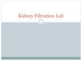 Kidney Filtration Lab. Objectives Determine how kidneys function Identify components of the blood that should be removed by the kidneys Identify components.