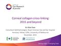 Corneal collagen cross-linking: 2015 and beyond Dr Elsie Chan Consultant Ophthalmologist, Royal Victorian Eye and Ear Hospital Honorary Fellow, CERA, University.