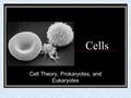 Cells Cell Theory, Prokaryotes, and Eukaryotes. Cell Theory 1. Living organisms are composed of cells. 2. Cells are the smallest unit of life. 3. Cells.