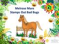 Melrose Mare Stamps Out Bad Bugs. Melrose Mare lived on a farm in Happy Town. Happy Town was a place where everyone smiled and was healthy. Life in Happy.