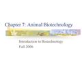 Chapter 7: Animal Biotechnology Introduction to Biotechnology Fall 2006.