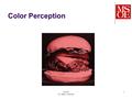 CS-321 Dr. Mark L. Hornick 1 Color Perception. CS-321 Dr. Mark L. Hornick 2 Color Perception.