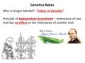 Genetics Notes Who is Gregor Mendel? Principle of Independent Assortment – Inheritance of one trait has no effect on the inheritance of another trait “Father.