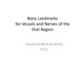 Bony Landmarks for Vessels and Nerves of the Oral Region Head and Neck Anatomy H211.