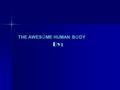 THE AWES ME HUMAN B DY By:. The nervous system Your nervous system is the control center of your body. It links all body systems and carries signals from.