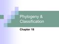 Phylogeny & Classification Chapter 18. Linnaean Classification This system was created long before scientists understood that organisms evolved. Because.