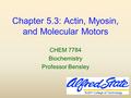 Chapter 5.3: Actin, Myosin, and Molecular Motors CHEM 7784 Biochemistry Professor Bensley.