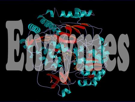 Enzyme s. The Need for Enzymes Many important exergonic rxns require more E A than cells can provide Other rxns require specific collision angles, slowing.