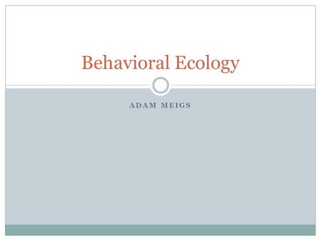 ADAM MEIGS Behavioral Ecology. Inheritance Influences Behavior Experiments with lovebirds, garter snakes, and other species of animals have indicated.