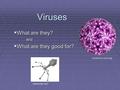 Viruses  What are they? and  What are they good for? (ebiomedia.com) (conference.eicar.org)