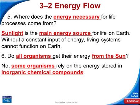 End Show Slide 1 of 41 Copyright Pearson Prentice Hall 3–2 Energy Flow 5. Where does the energy necessary for life processes come from? Sunlight is the.