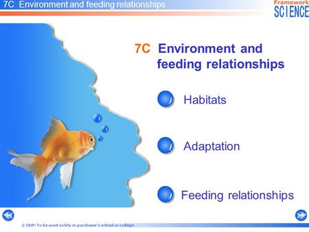 © OUP: To be used solely in purchaser’s school or college Habitats Adaptation Feeding relationships 7C Environment and feeding relationships.