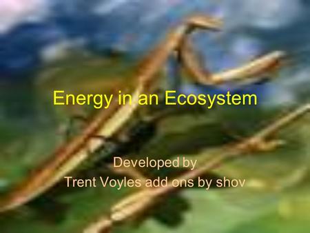 Energy in an Ecosystem Developed by Trent Voyles add ons by shov.