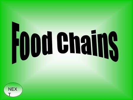 NEX T. In order to live, animals need energy. Some animals get the energy they need to live from eating plants and other vegetation - herbivores. Some.