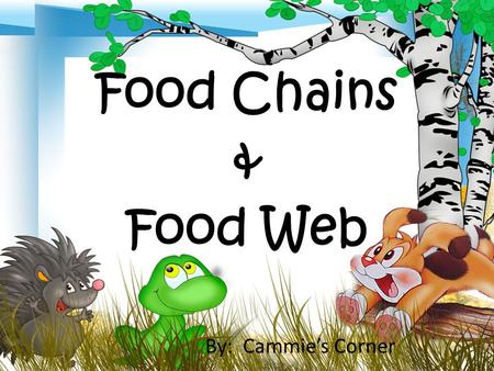 Food Chains & Food Web By: Cammie’s Corner. All living things need food for energy. You have read that the energy for all living things comes from the.