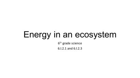 Energy in an ecosystem 6 th grade science 6.l.2.1 and 6.l.2.3.