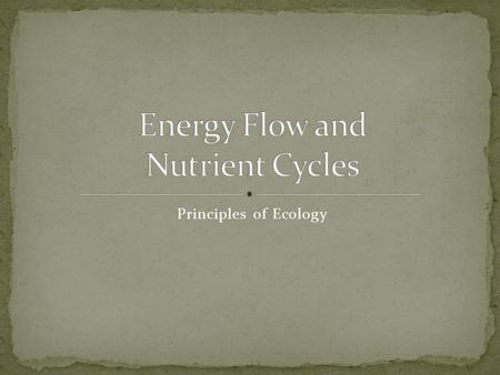 Principles of Ecology. Learning Targets Describe the different niches organisms occupy in food chains and diagram a model of a food web that includes.