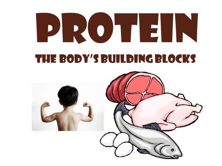 Protein The body’s building blocks. ENERGY! Fats and Oils=9 Proteins =4 Carbs=4 Remember! 1. Proteins provide 4 calories per gram.