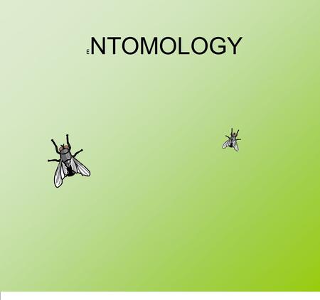 E NTOMOLOGY. A part from bacteria and fungi, insects are the most important processors of dead animal and human remains Insects utilize decomposing tissues.